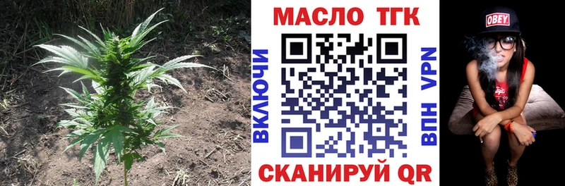 МЕГА зеркало  Суджа  ТГК THC oil 